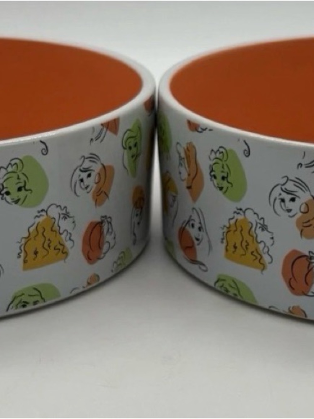 Disney Princess Dog Bowl Set